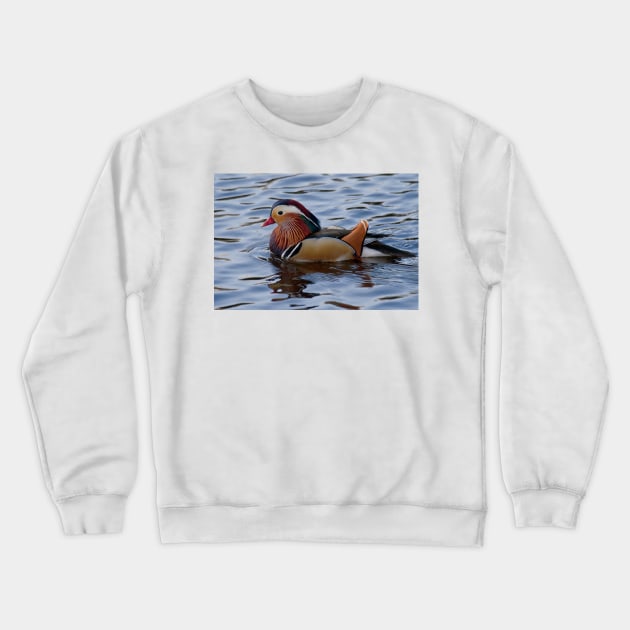 Mandarin duck on the River Wansbeck Crewneck Sweatshirt by Violaman